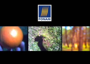 Diego Drexler – Pulsiòn