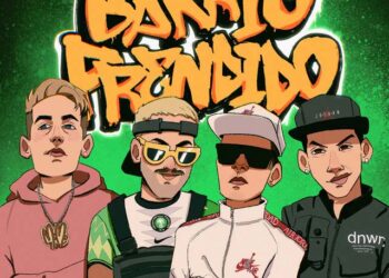 Nro. 5 – Top 20 Año 2021