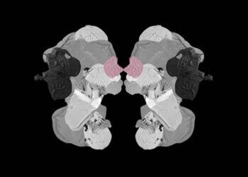 Nro. 16 – Top 20 Año 2021