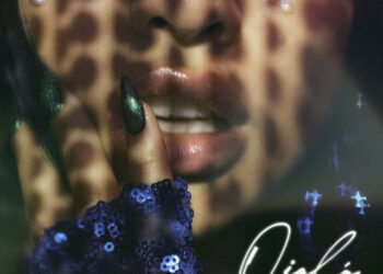 Nro. 15 – Setiembre 2022