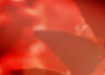 Nro. 10 – Top 20 Año 2021