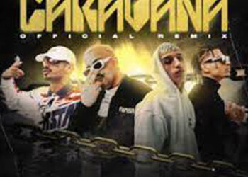 Nro. 14 – Agosto 2022