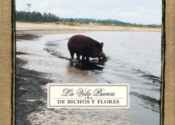 Nro. 18 – Nov. 2022