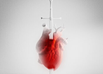 Nro. 6 – Noviembre 2022