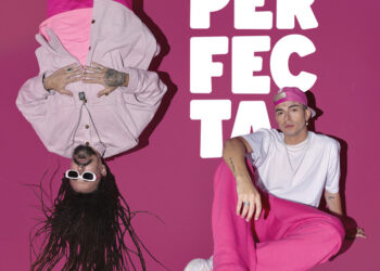 Nro. 13  – Noviembre 2022