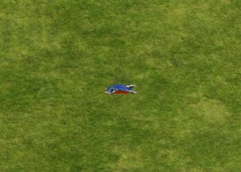 Nro. 16 – Mayo 2023