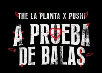 Nro. 15 – Abril 2024