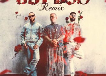 Nro. 15 – Abril 2024