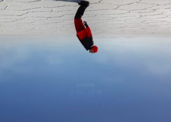 Nro. 2 – Noviembre 2024