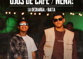 Nro. 16 – Nov. 2024