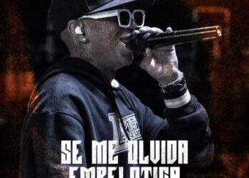 Nro. 14 – Noviembre 2024