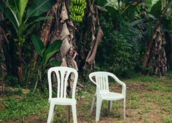 Nro. 5 – Enero 2025