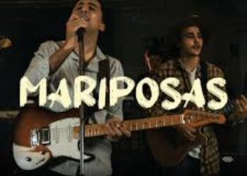 Nro. 19 – Mayo 2025