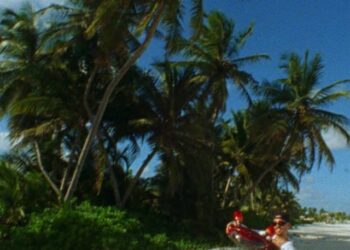 Nro. 16 – Agosto 2025