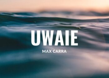 Nro. 12 – Agosto 2025