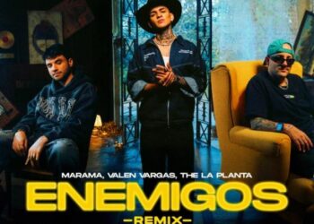 Nro. 8 – Nov. 2025