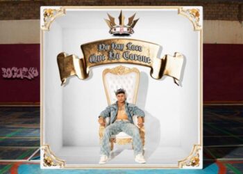 Nro. 11 – Diciembre 2025