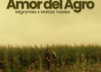 Nro. 13 – Mayo 2026