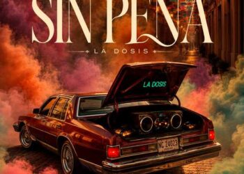 Nro. 11 – Agosto 2026